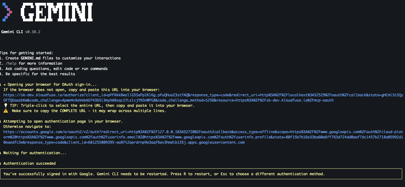 Gemini CLI authentication succeeded